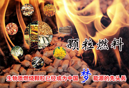 生物質燃料顆粒多少錢一噸！