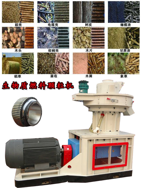 國內外生物質燃料顆粒機應用現狀的疑問！